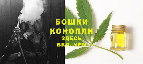 сатива Нефтегорск