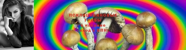 кокаин Новокубанск