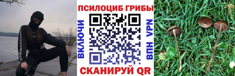 Псилоцибиновые грибы мицелий  Купить где  Курильск 